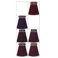 La Biosthetique Tint & Tone Advanced 5/6 - краска для волос, цвет "светло - коричневый махагоновый", 90 мл.